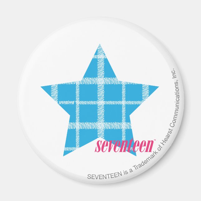 Kariertes Aqua 3 Magnet (Vorne)