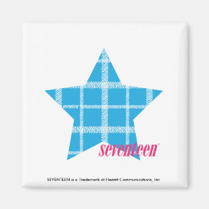 Kariertes Aqua 3 Magnet