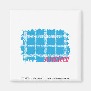 Kariertes Aqua 4 Magnet