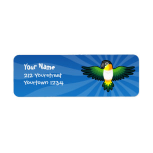 Karikatur Caique / Unzertrennlicher / Pionus / Pap