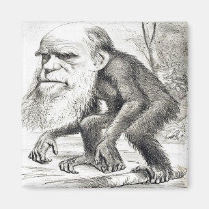 Karikatur von Charles Darwin 1871 Magnet