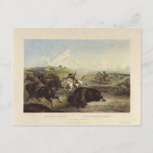 Karl Bodmer - Amerikanische Ureinwohner jagen Biso Postkarte