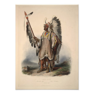 Karl Bodmer - Ein Vorstandsvorsitzender von Mandan Fotodruck