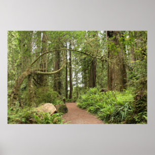Karl Knapp Trail Poster
