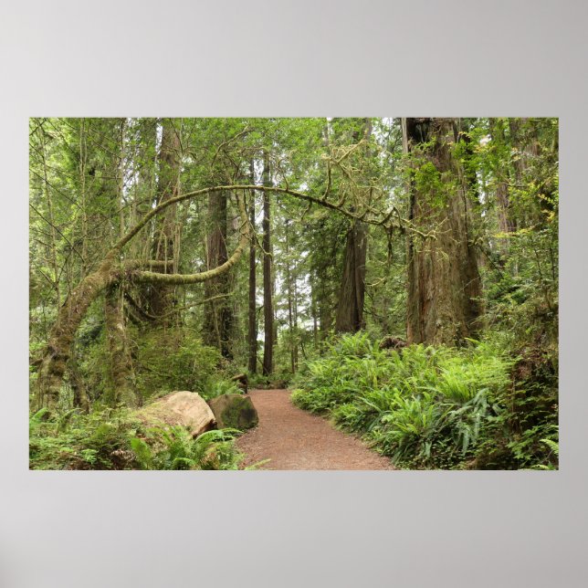 Karl Knapp Trail Poster (Vorne)