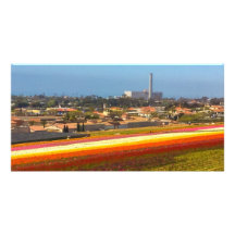 Karlsbad-Blumen-Felder