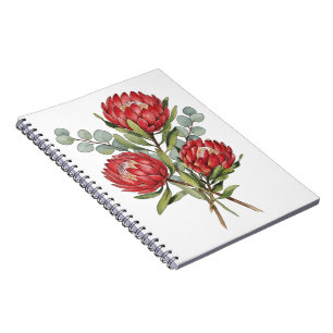 Karmesinrote Protea-Blumenstrauß-Aquarell Notizblock