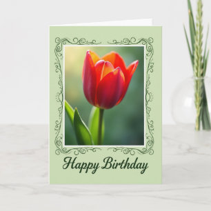 Karmesinrote Tulpen-Geburtstagskarte Karte