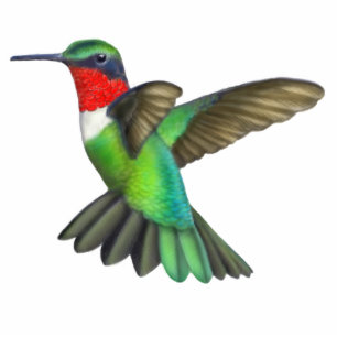 Karminrote Throated Kolibri-Foto-Skulptur Freistehende Fotoskulptur