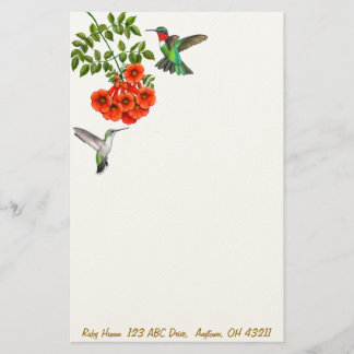 Karminrote Throated Kolibris in rotem Briefpapier