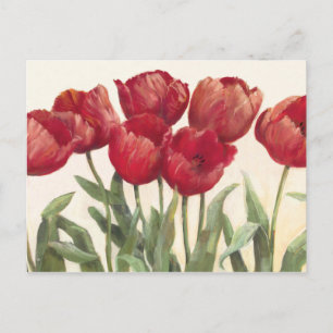 Karminrote Tulpen Postkarte