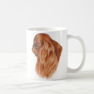 Karminroter König Charles der Tasse Spaniel (nicht