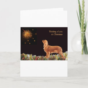 Karminroter Weihnachtskavalier Feiertagskarte