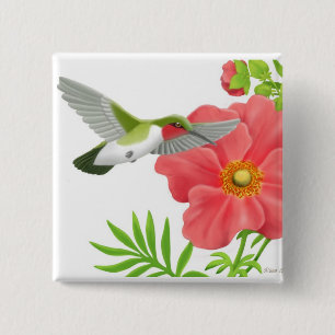 Karminrotes Throated Kolibri-Button Button