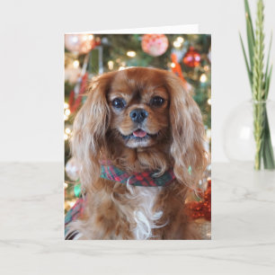 Karminrotes Weihnachten