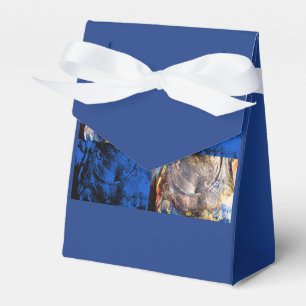 Karneval Brust Geschenkschachtel