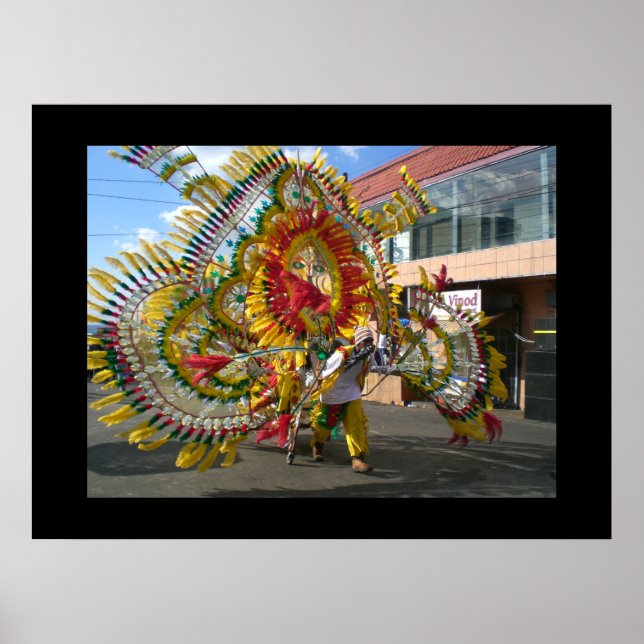 Karneval Trinidad 2010 Poster (Vorne)