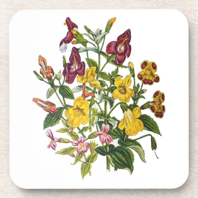 Karneval von Blume Getränkeuntersetzer (Vorderseite)
