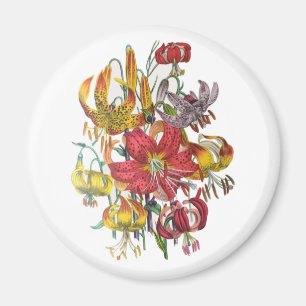 Karneval von Blume Magnet
