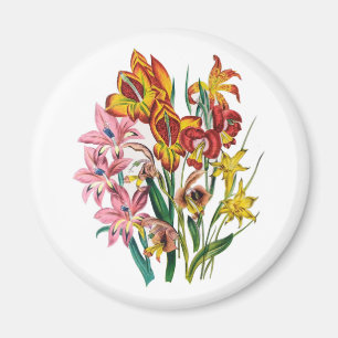 Karneval von Blume Magnet