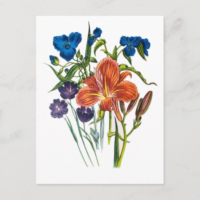 Karneval von Blume Postkarte (Vorderseite)