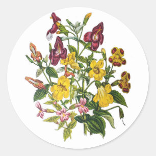 Karneval von Blume Runder Aufkleber