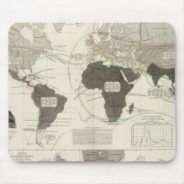 Karnivora Mousepad (Vorne)