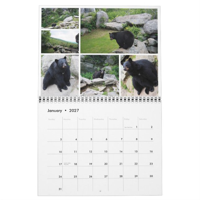 Karolina-Wildtierkalender 2011 Kalender (Jan 2027)