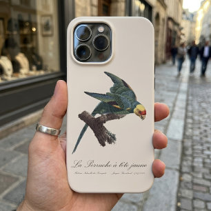 Karolinasittich, Conuropsis carolinensis Case-Mate iPhone Hülle