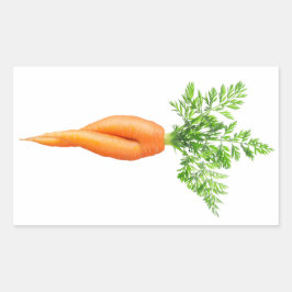 Karotte Rechteckiger Aufkleber