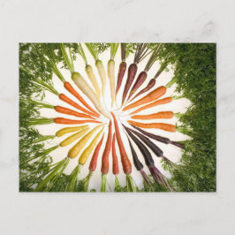 Karotten in vielen Farben Postkarte