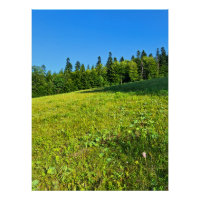 Karpaten-Grünwiese – Rumänien Bergdruck