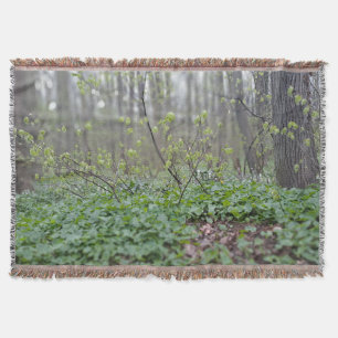 Karpaten-Waldboden Rumänien Naturfotografie Decke
