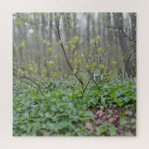 Karpaten-Waldgrund Rumänien Naturfotografie Puzzle