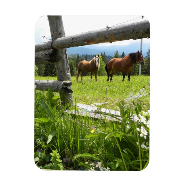 Karpatengebirge - Ukraine Magnet (Vertikal)