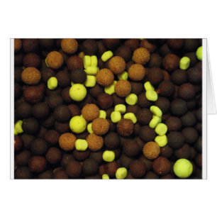 Karpfen-Fischen - Boilies 2