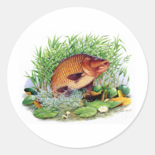 Karpfen-Fischen Runder Aufkleber