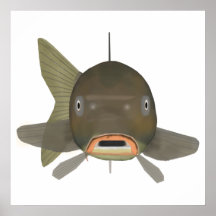 Karpfen - Fischkopf