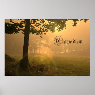 Karpfen-Plakat Poster