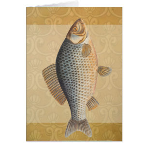 Karpfenfisch Fischmalerei Süßwasserzeichnung