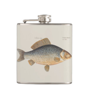 Karpfenfisch Fischmalerei Süßwasserzeichnung  Flachmann