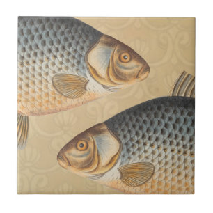 Karpfenfisch Fischmalerei Süßwasserzeichnung Fliese