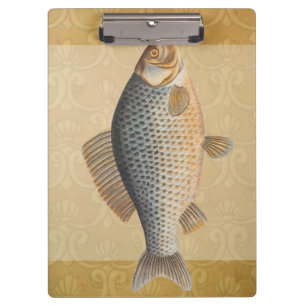 Karpfenfisch Fischmalerei Süßwasserzeichnung  Klemmbrett