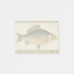 Karpfenfisch Fischmalerei Süßwasserzeichnung Post-it Klebezettel