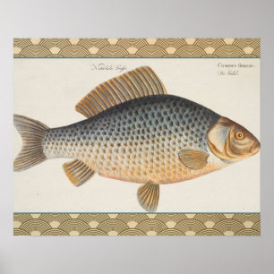 Karpfenfisch Fischmalerei Süßwasserzeichnung  Poster