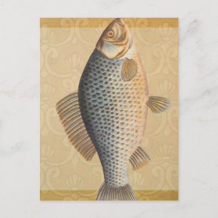 Karpfenfisch Fischmalerei Süßwasserzeichnung Postkarte