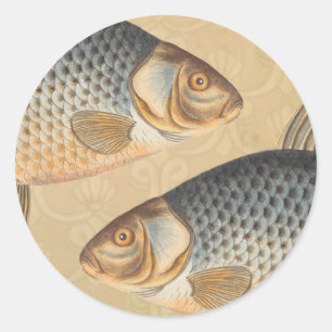 Karpfenfisch Fischmalerei Süßwasserzeichnung Runder Aufkleber