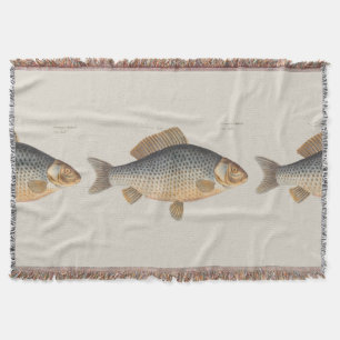 Karpfenfisch Malerei Süßwasser Zeichnung Decke