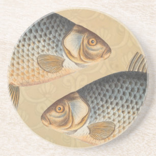 Karpfenfisch Malerei Süßwasser Zeichnung Getränkeuntersetzer
