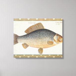 Karpfenfisch Malerei Süßwasser Zeichnung  Leinwanddruck